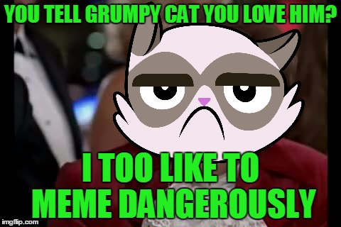 YOU TELL GRUMPY CAT YOU LOVE HIM? I TOO LIKE TO MEME DANGEROUSLY | made w/ Imgflip meme maker