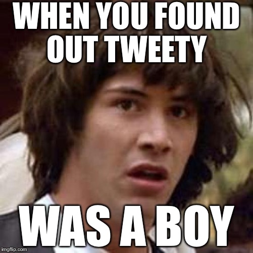 Tweety is WAT | WHEN YOU FOUND OUT TWEETY; WAS A BOY | image tagged in memes,conspiracy keanu | made w/ Imgflip meme maker