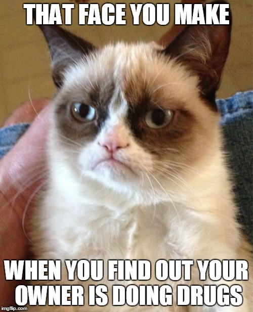 Grumpy Cat Meme | THAT FACE YOU MAKE; WHEN YOU FIND OUT YOUR OWNER IS DOING DRUGS | image tagged in memes,grumpy cat | made w/ Imgflip meme maker