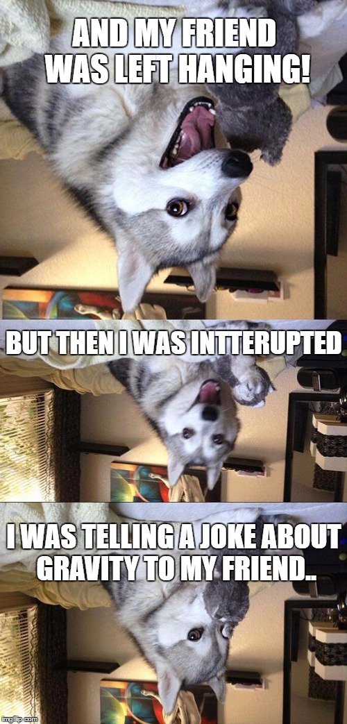 From the bottom up | AND MY FRIEND WAS LEFT HANGING! BUT THEN I WAS INTTERUPTED; I WAS TELLING A JOKE ABOUT GRAVITY TO MY FRIEND.. | image tagged in memes,bad pun dog,gravity | made w/ Imgflip meme maker