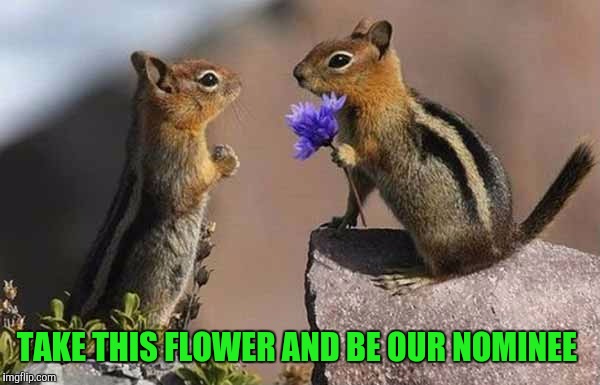 TAKE THIS FLOWER AND BE OUR NOMINEE | made w/ Imgflip meme maker
