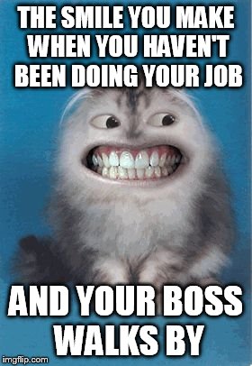 work meme boss | THE SMILE YOU MAKE WHEN YOU HAVEN'T BEEN DOING YOUR JOB; AND YOUR BOSS WALKS BY | image tagged in work,coworkers | made w/ Imgflip meme maker
