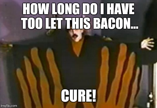HOW LONG DO I HAVE TOO LET THIS BACON... CURE! | made w/ Imgflip meme maker