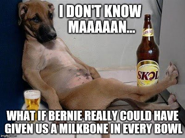 Free obedience school, I could live without.  | I DON'T KNOW MAAAAAN... WHAT IF BERNIE REALLY COULD HAVE GIVEN US A MILKBONE IN EVERY BOWL | image tagged in memes,funny,dogs | made w/ Imgflip meme maker