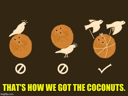 THAT'S HOW WE GOT THE COCONUTS. | made w/ Imgflip meme maker