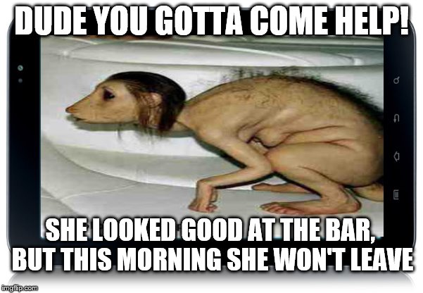 before you ask, I have no idea what it is! | DUDE YOU GOTTA COME HELP! SHE LOOKED GOOD AT THE BAR, BUT THIS MORNING SHE WON'T LEAVE | image tagged in memes,funny,morning after | made w/ Imgflip meme maker