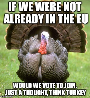 Turkey | IF WE WERE NOT ALREADY IN THE EU; WOULD WE VOTE TO JOIN. JUST A THOUGHT, THINK TURKEY | image tagged in memes,turkey | made w/ Imgflip meme maker