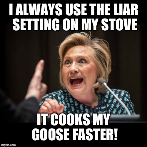 I ALWAYS USE THE LIAR SETTING ON MY STOVE IT COOKS MY GOOSE FASTER! | made w/ Imgflip meme maker