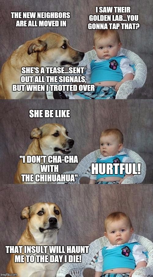 Dad Joke Dog | I SAW THEIR GOLDEN LAB...YOU GONNA TAP THAT? THE NEW NEIGHBORS ARE ALL MOVED IN; SHE'S A TEASE...SENT OUT ALL THE SIGNALS, BUT WHEN I TROTTED OVER; SHE BE LIKE; "I DON'T CHA-CHA WITH THE CHIHUAHUA"; HURTFUL! THAT INSULT WILL HAUNT ME TO THE DAY I DIE! | image tagged in memes,dad joke dog | made w/ Imgflip meme maker