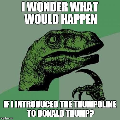 Philosoraptor | I WONDER WHAT WOULD HAPPEN; IF I INTRODUCED THE TRUMPOLINE TO DONALD TRUMP? | image tagged in memes,philosoraptor | made w/ Imgflip meme maker