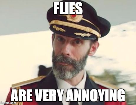 Captain Obvious | FLIES; ARE VERY ANNOYING | image tagged in captain obvious | made w/ Imgflip meme maker