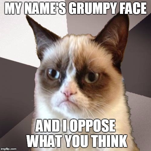 Musically Malicious Grumpy Cat | MY NAME'S GRUMPY FACE; AND I OPPOSE WHAT YOU THINK | image tagged in musically malicious grumpy cat | made w/ Imgflip meme maker