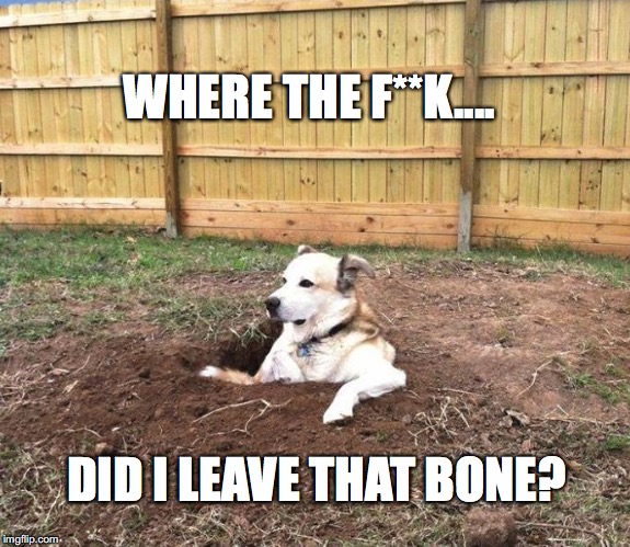 confused dog | WHERE THE F**K.... DID I LEAVE THAT BONE? | image tagged in confused dog | made w/ Imgflip meme maker