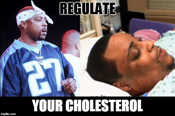 Regulate your cholesterol | REGULATE; YOUR CHOLESTEROL | image tagged in nate dogg,warren g,regulate,hip hop,cholesterol,funny | made w/ Imgflip meme maker
