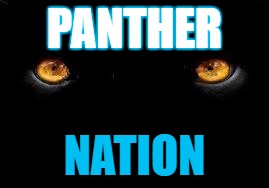 panther eyes. | PANTHER; NATION | image tagged in panther eyes | made w/ Imgflip meme maker