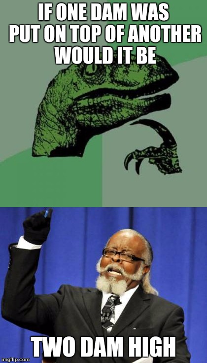 a good point to consider | IF ONE DAM WAS PUT ON TOP OF ANOTHER WOULD IT BE; TWO DAM HIGH | image tagged in too damn high,philosoraptor,dank meme | made w/ Imgflip meme maker