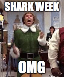 SHARK WEEK; OMG | image tagged in elf,shark week,santa,omg | made w/ Imgflip meme maker