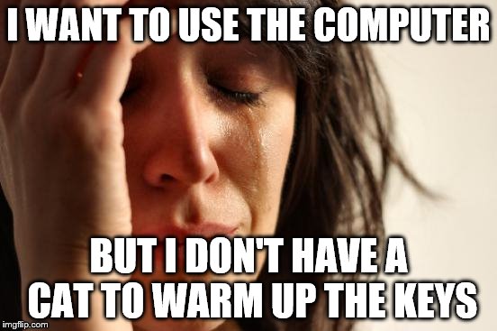 First World Problems Meme | I WANT TO USE THE COMPUTER BUT I DON'T HAVE A CAT TO WARM UP THE KEYS | image tagged in memes,first world problems | made w/ Imgflip meme maker