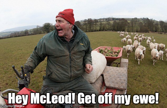 He's a baaad man (sorry) | Hey McLeod! Get off my ewe! | image tagged in memes,rolling stones,music,sheep | made w/ Imgflip meme maker
