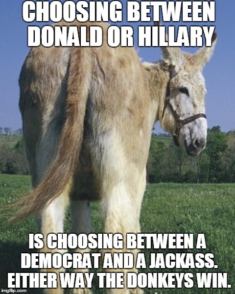 donkey ass | CHOOSING BETWEEN DONALD OR HILLARY; IS CHOOSING BETWEEN A DEMOCRAT AND A JACKASS. EITHER WAY THE DONKEYS WIN. | image tagged in donkey ass,hillary clinton,donald trump,jackass,democrat,republican | made w/ Imgflip meme maker