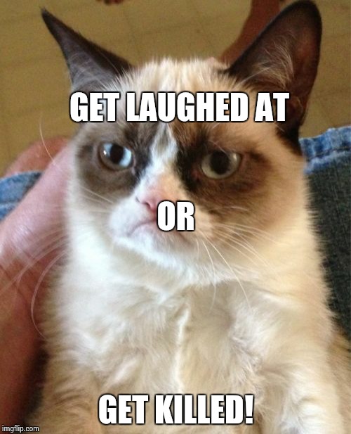 get laughed at or get killed | GET LAUGHED AT; OR; GET KILLED! | image tagged in memes,grumpy cat,hmmmmm | made w/ Imgflip meme maker