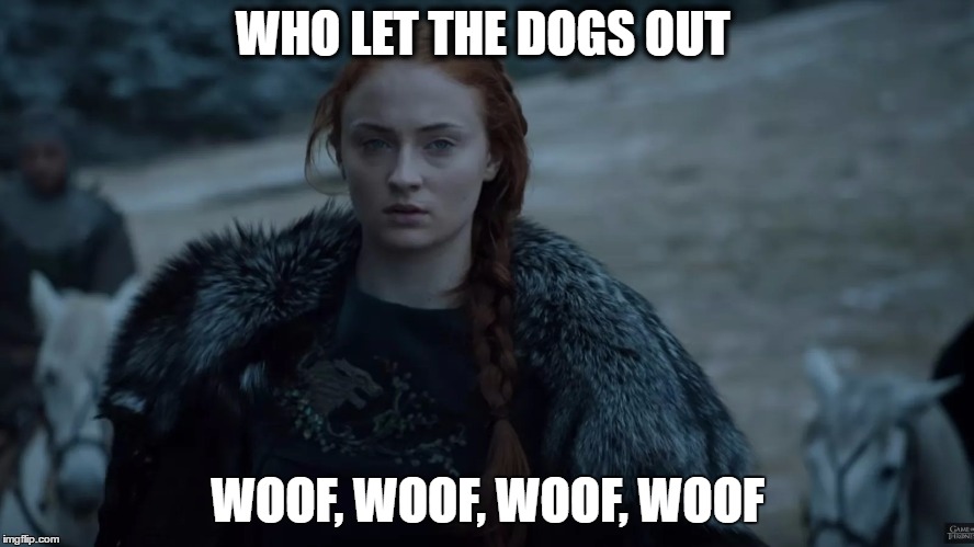 WHO LET THE DOGS OUT; WOOF, WOOF, WOOF, WOOF | image tagged in sansa | made w/ Imgflip meme maker