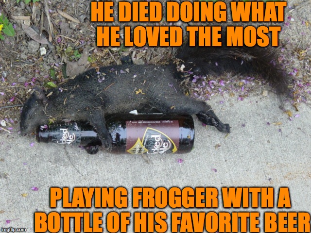 Poor little thing! |  HE DIED DOING WHAT HE LOVED THE MOST; PLAYING FROGGER WITH A BOTTLE OF HIS FAVORITE BEER | image tagged in memes,funny,animals,cute,accurate,squirrel | made w/ Imgflip meme maker
