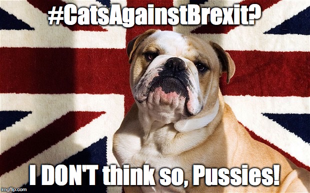 British Bulldog | #CatsAgainstBrexit? I DON'T think so, Pussies! | image tagged in brexit,uk,europe,bulldog,britain,cats | made w/ Imgflip meme maker