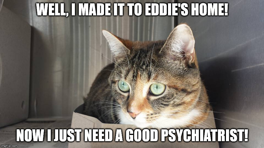 WELL, I MADE IT TO EDDIE'S HOME! NOW I JUST NEED A GOOD PSYCHIATRIST! | image tagged in gracie | made w/ Imgflip meme maker