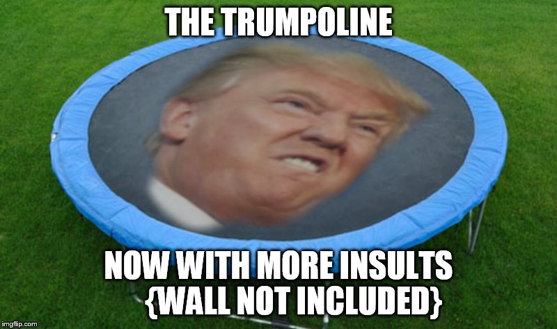 Trumpoline | THE TRUMPOLINE; NOW WITH MORE INSULTS     {WALL NOT INCLUDED} | image tagged in trumpoline | made w/ Imgflip meme maker