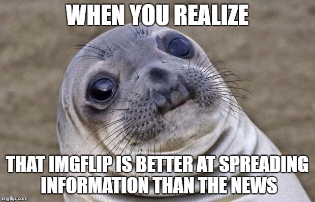 News kinda sucks right now |  WHEN YOU REALIZE; THAT IMGFLIP IS BETTER AT SPREADING INFORMATION THAN THE NEWS | image tagged in memes,awkward moment sealion | made w/ Imgflip meme maker