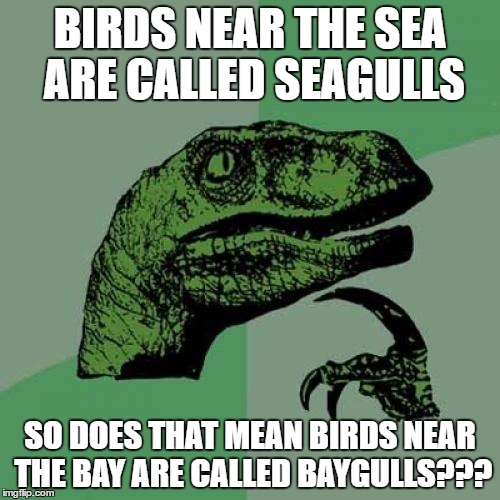 Philosoraptor | BIRDS NEAR THE SEA ARE CALLED SEAGULLS; SO DOES THAT MEAN BIRDS NEAR THE BAY ARE CALLED BAYGULLS??? | image tagged in memes,philosoraptor | made w/ Imgflip meme maker