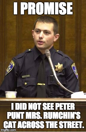 Police Officer Testifying | I PROMISE; I DID NOT SEE PETER PUNT MRS. RUMCHIN'S CAT ACROSS THE STREET. | image tagged in memes,police officer testifying | made w/ Imgflip meme maker