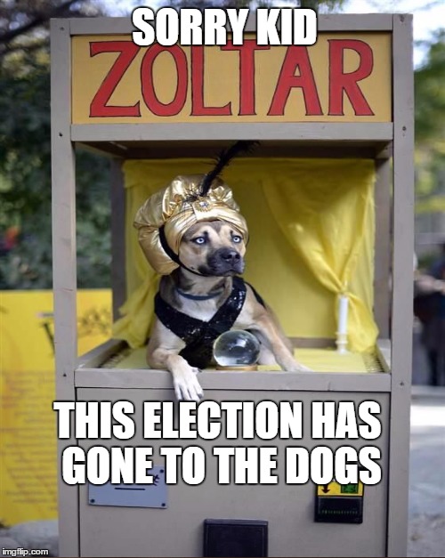 SORRY KID THIS ELECTION HAS GONE TO THE DOGS | made w/ Imgflip meme maker