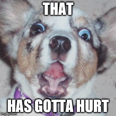 THAT HAS GOTTA HURT | made w/ Imgflip meme maker