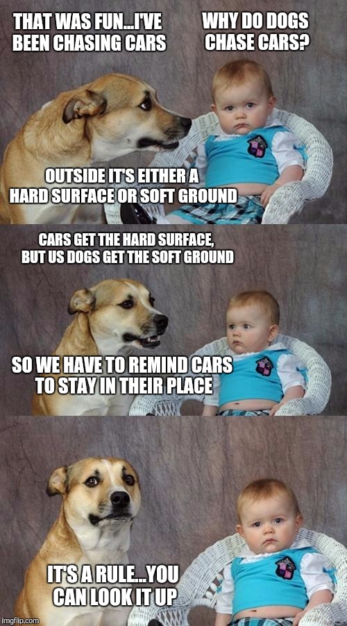 Dad Joke Dog | THAT WAS FUN...I'VE BEEN CHASING CARS; WHY DO DOGS CHASE CARS? OUTSIDE IT'S EITHER A HARD SURFACE OR SOFT GROUND; CARS GET THE HARD SURFACE, BUT US DOGS GET THE SOFT GROUND; SO WE HAVE TO REMIND CARS TO STAY IN THEIR PLACE; IT'S A RULE...YOU CAN LOOK IT UP | image tagged in memes,dad joke dog | made w/ Imgflip meme maker