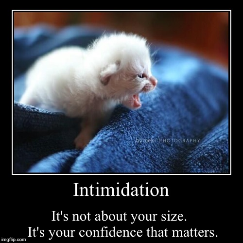 Charisma score 18
Intimidation check? Natural 20 | Intimidation | It's not about your size.  It's your confidence that matters. | image tagged in funny,demotivationals | made w/ Imgflip demotivational maker