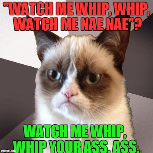 Musically Malicious Grumpy Cat | "WATCH ME WHIP, WHIP, WATCH ME NAE NAE"? WATCH ME WHIP, WHIP YOUR ASS, ASS. | image tagged in musically malicious grumpy cat,memes,music,funny,whip nae nae,ass | made w/ Imgflip meme maker