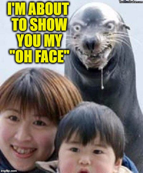 Rape Seal | I'M ABOUT TO SHOW YOU MY "OH FACE" | image tagged in rape seal | made w/ Imgflip meme maker