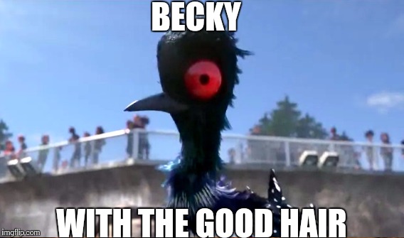 Becky with the good hair | BECKY; WITH THE GOOD HAIR | image tagged in becky,hair,finding dory,beyonce | made w/ Imgflip meme maker