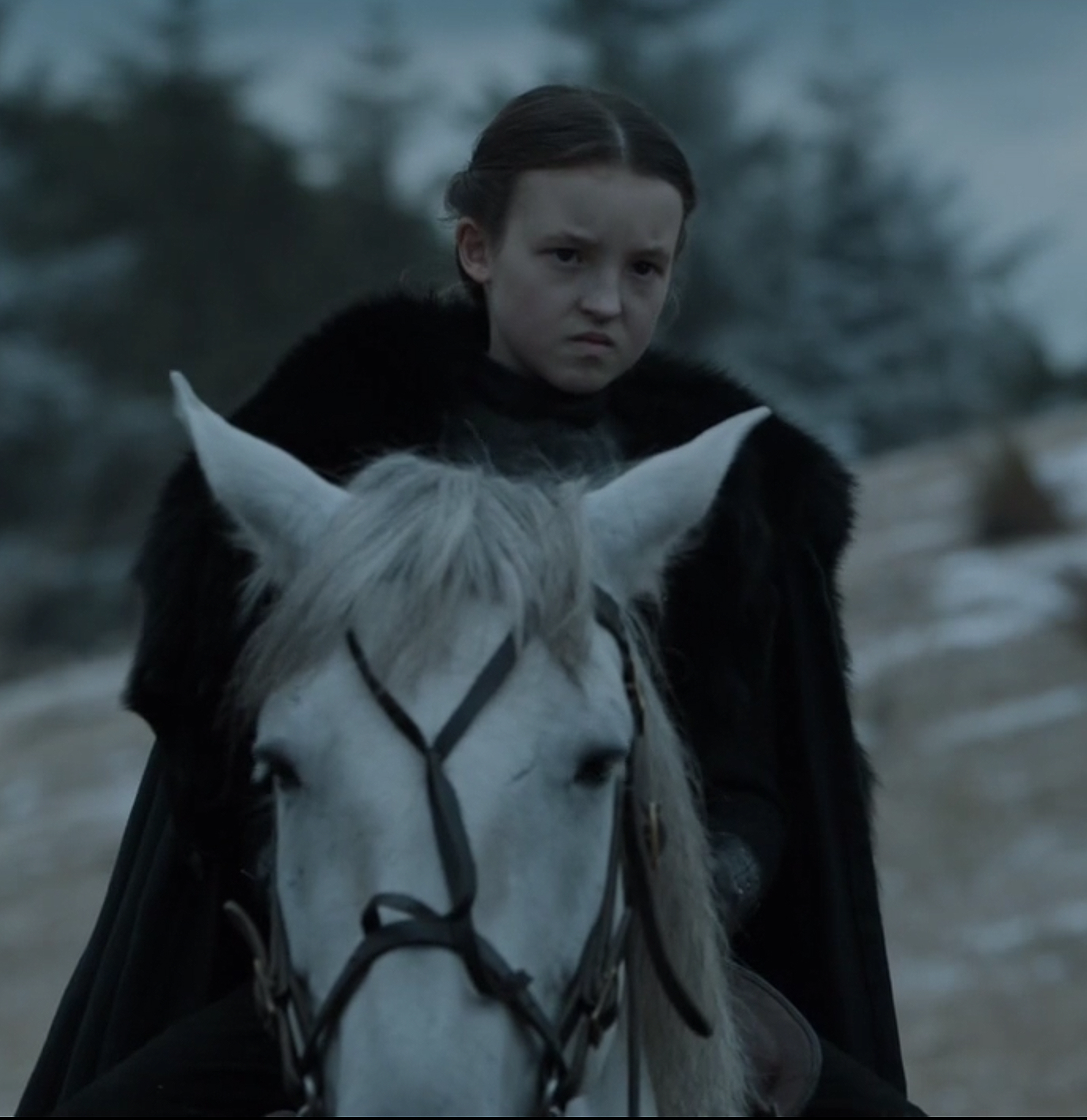 LyannaMormont Blank Meme Template