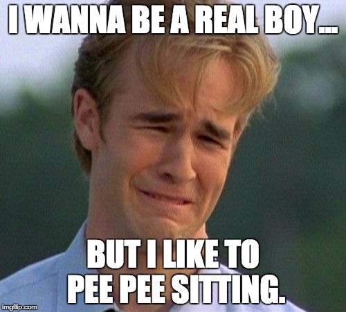 I Wish I Was a Man | I WANNA BE A REAL BOY... BUT I LIKE TO PEE PEE SITTING. | image tagged in memes,1990s first world problems,crying,funny meme,90's,funny | made w/ Imgflip meme maker
