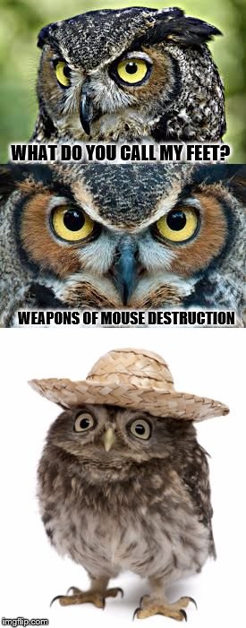 Bad Pun Owl | WHAT DO YOU CALL MY FEET? WEAPONS OF MOUSE DESTRUCTION | image tagged in bad pun owl | made w/ Imgflip meme maker