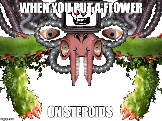 Omega Flowey | WHEN YOU PUT A FLOWER; ON STEROIDS | image tagged in omega flowey | made w/ Imgflip meme maker