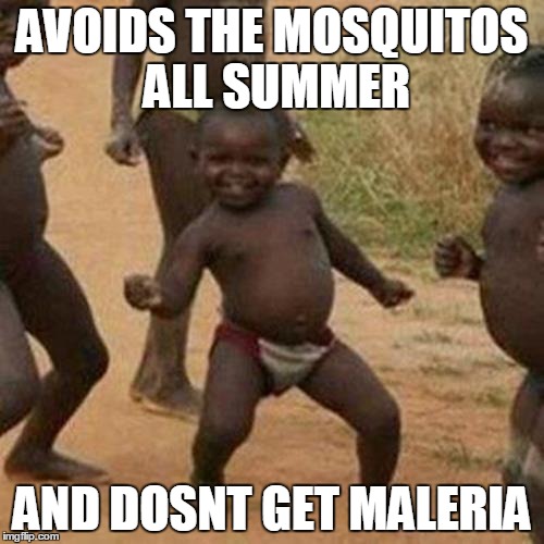 Third World Success Kid | AVOIDS THE MOSQUITOS ALL SUMMER; AND DOSNT GET MALERIA | image tagged in memes,third world success kid | made w/ Imgflip meme maker