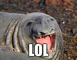 Weird Seal | LOL | image tagged in weird seal | made w/ Imgflip meme maker