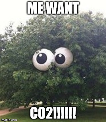 ME WANT; CO2!!!!!! | image tagged in tree eyes | made w/ Imgflip meme maker