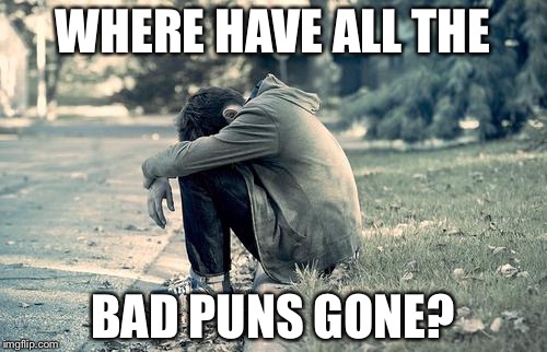 WHERE HAVE ALL THE; BAD PUNS GONE? | image tagged in i'm sorry | made w/ Imgflip meme maker