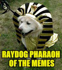 RAYDOG PHARAOH OF THE MEMES | made w/ Imgflip meme maker
