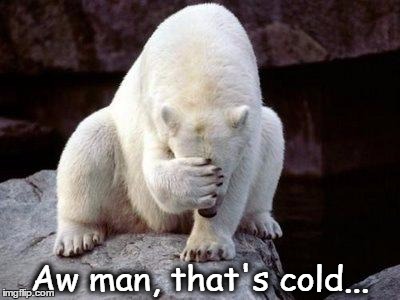  Polar Bear Brain Freeze | Aw man, that's cold... | image tagged in brain freeze,polar bear,cold | made w/ Imgflip meme maker